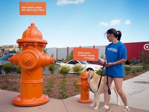 Quảng cáo ngoài trời kêu gọi tiết kiệm nước của Denver Water